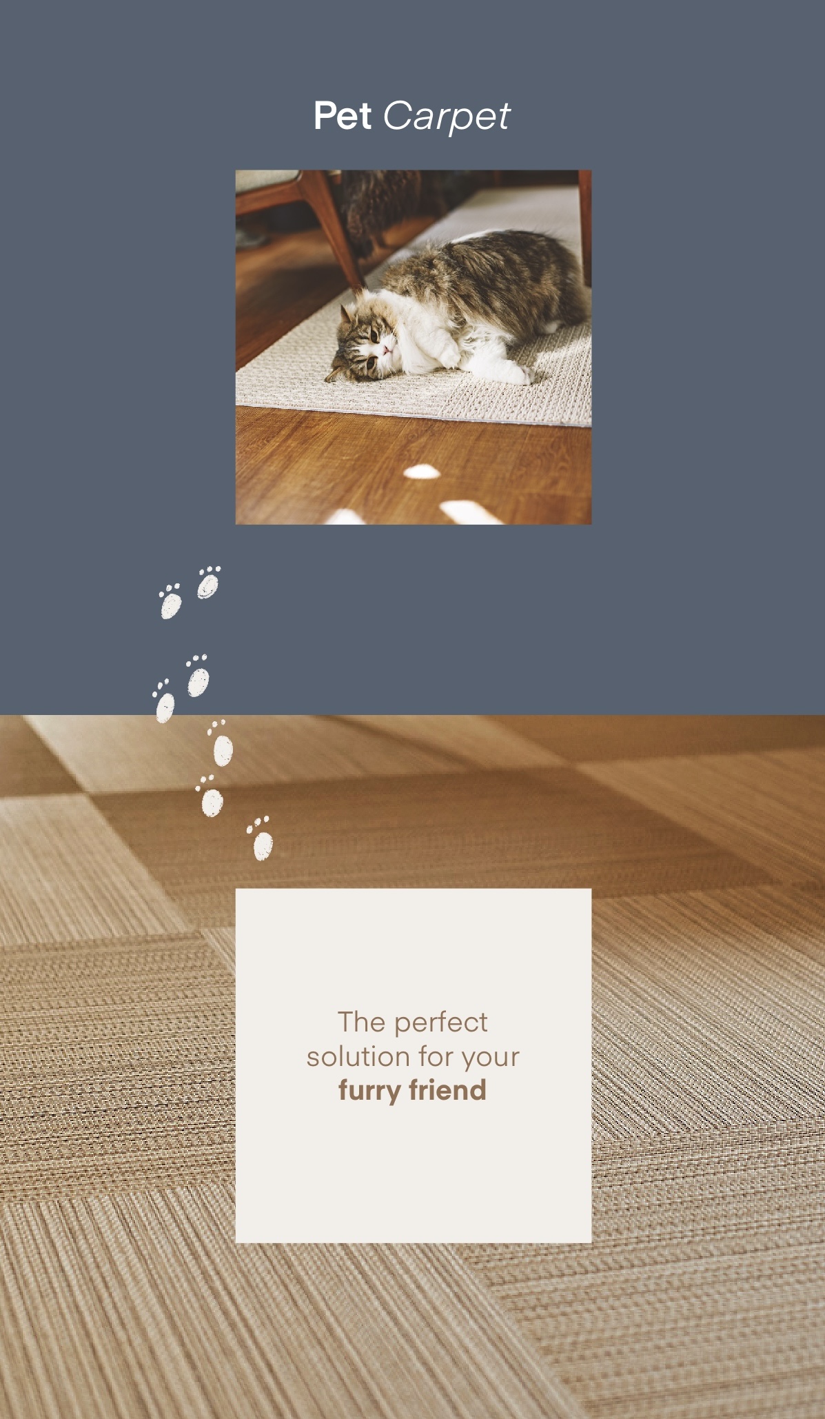 Pet carpet is the solution that caters your love for pets